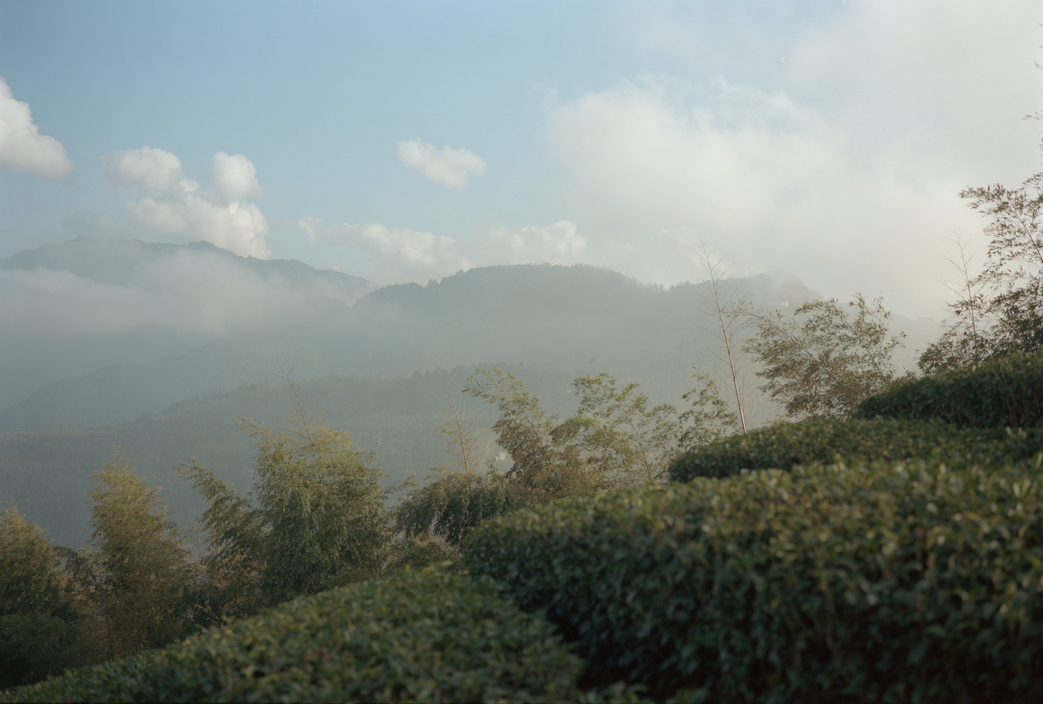 TAIWAN_2025_083_WEB.png