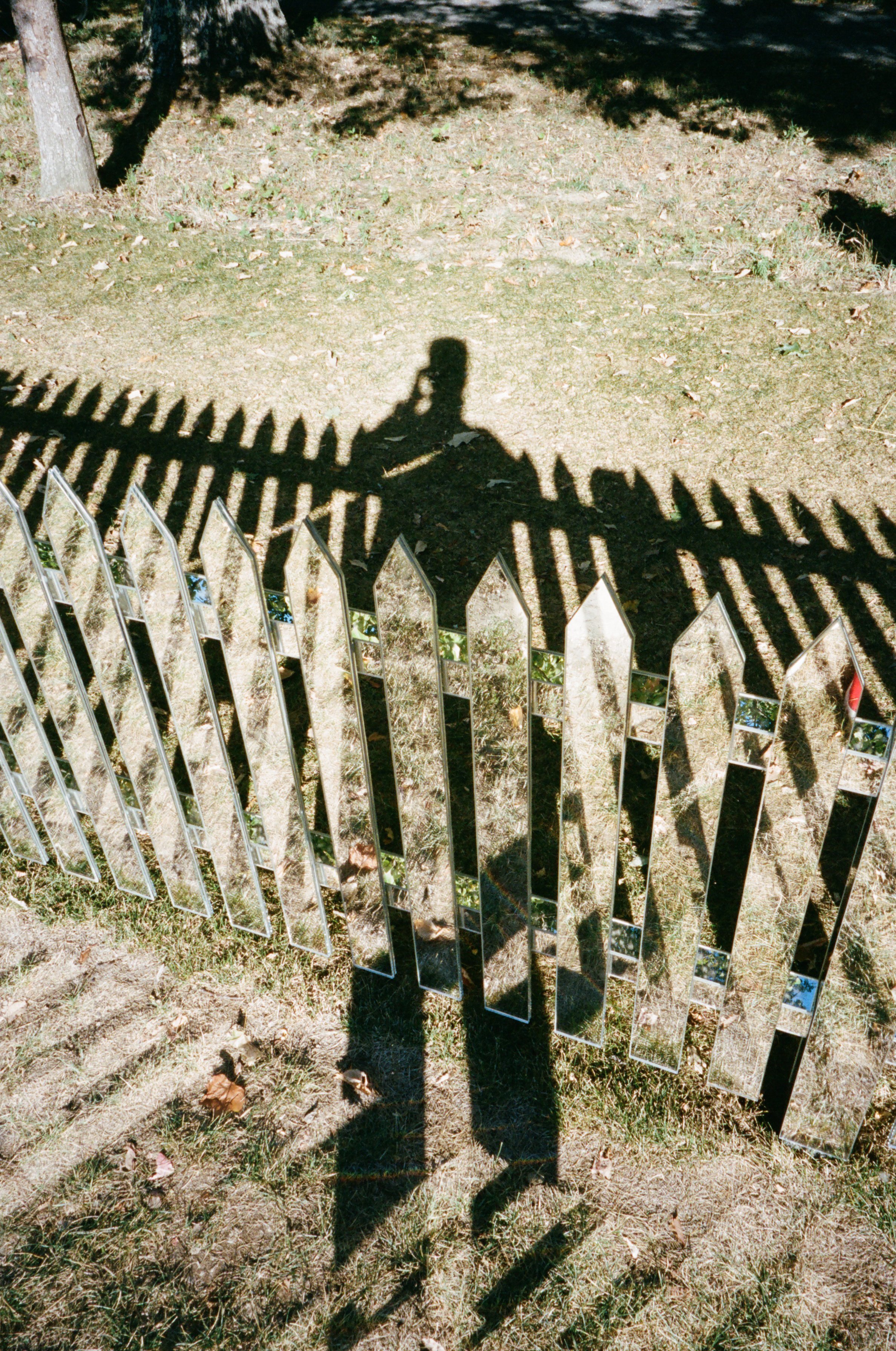 26560027.JPG