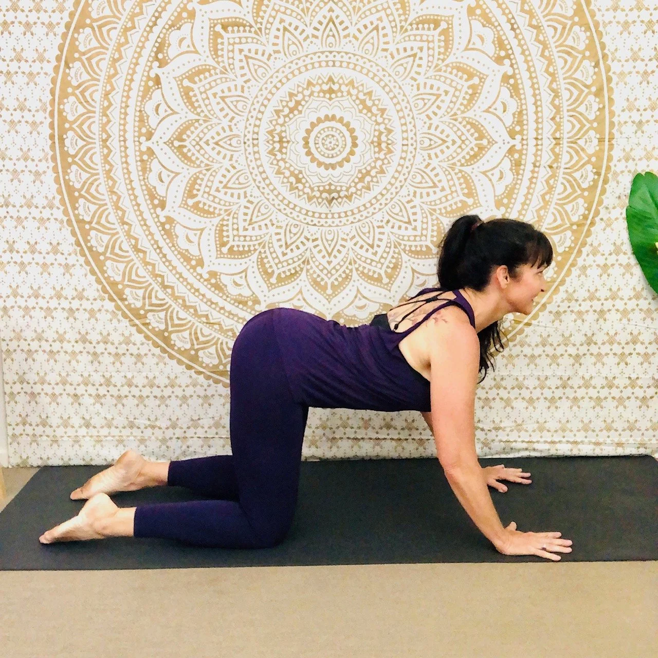 Kevala Health's live online yoga class demonstrating the cat cow yoga movement to release the whole body