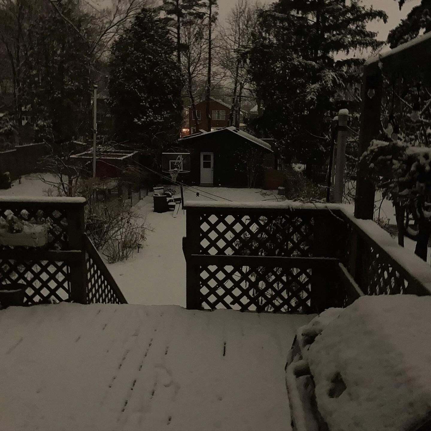 Taken at 1 am. I love snowy nights!