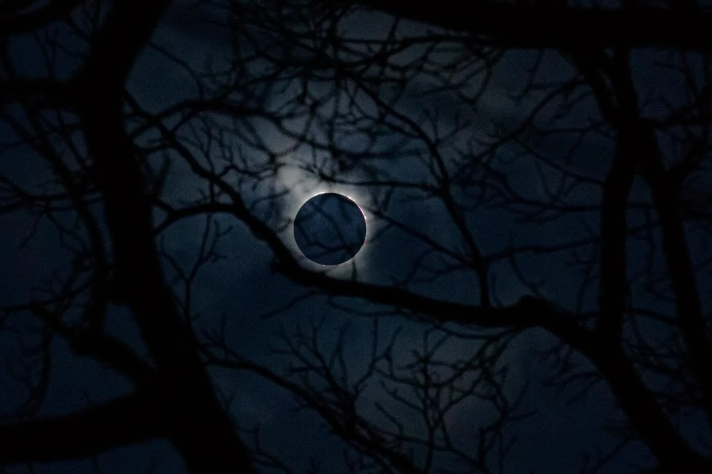 The eclipse from my backyard. Photos from the brilliant @nomuraphotographyhamilton !
#HamOnt #Eclipse