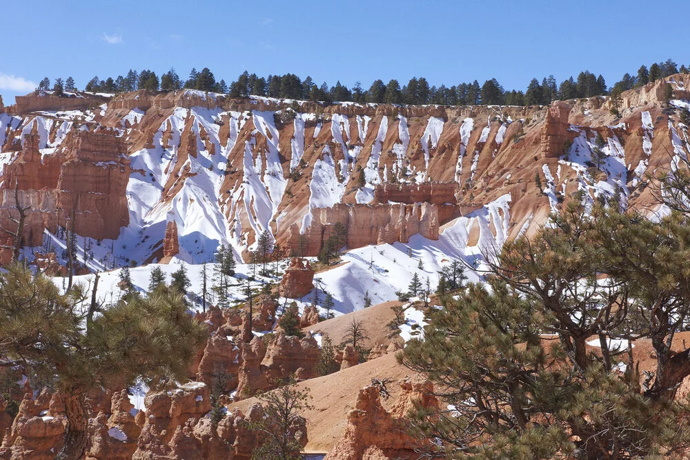 20210228_BryceCanyon_0014.jpg