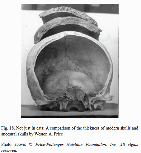 evolutionary experiment