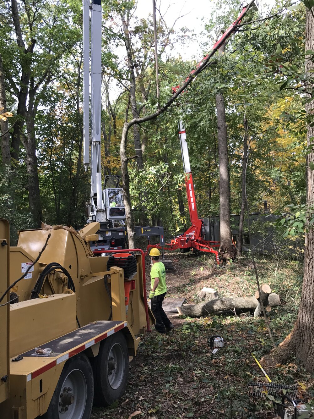 tree service douglasville ga