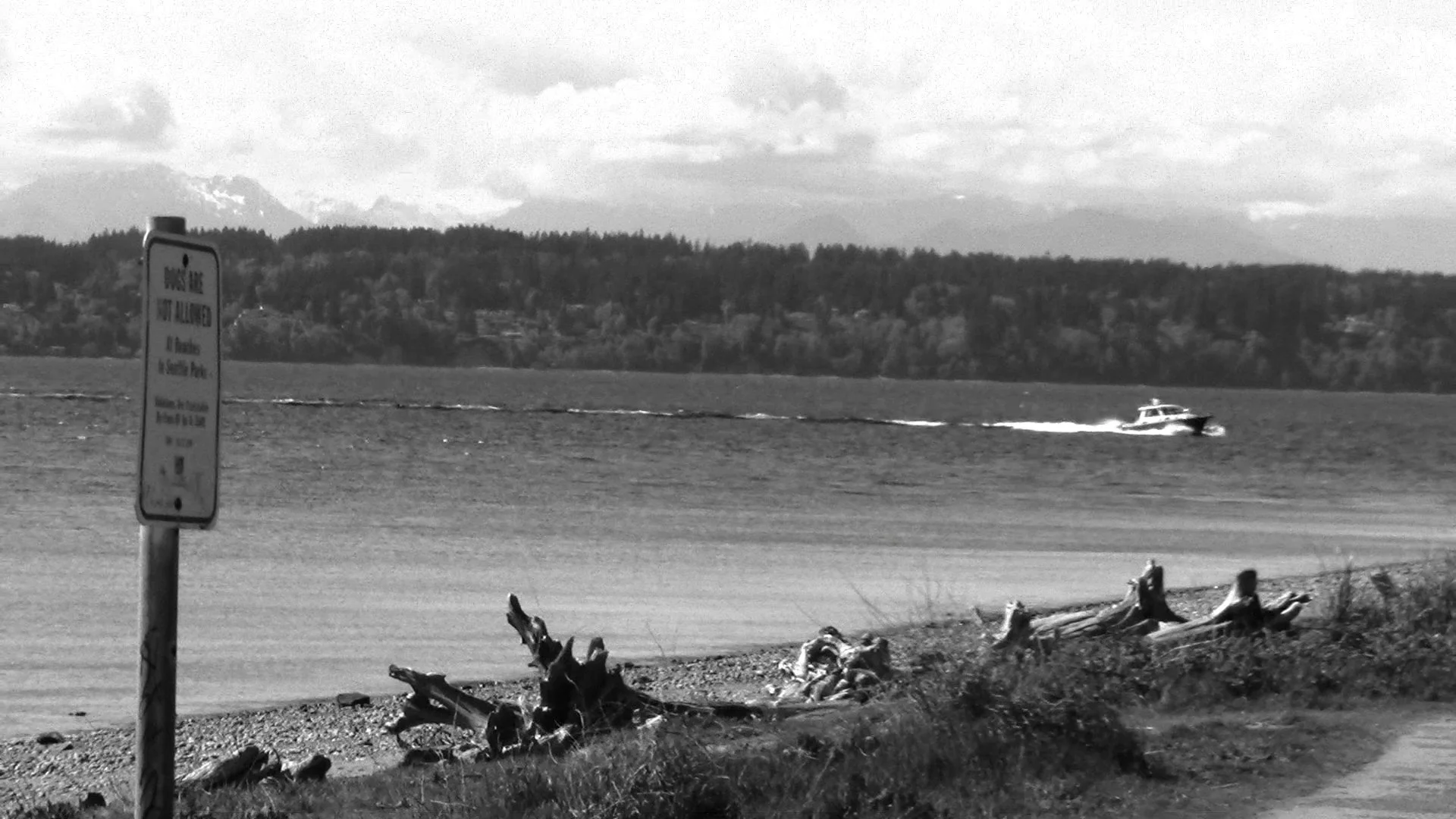 05 29 25 discovery park 12.jpg