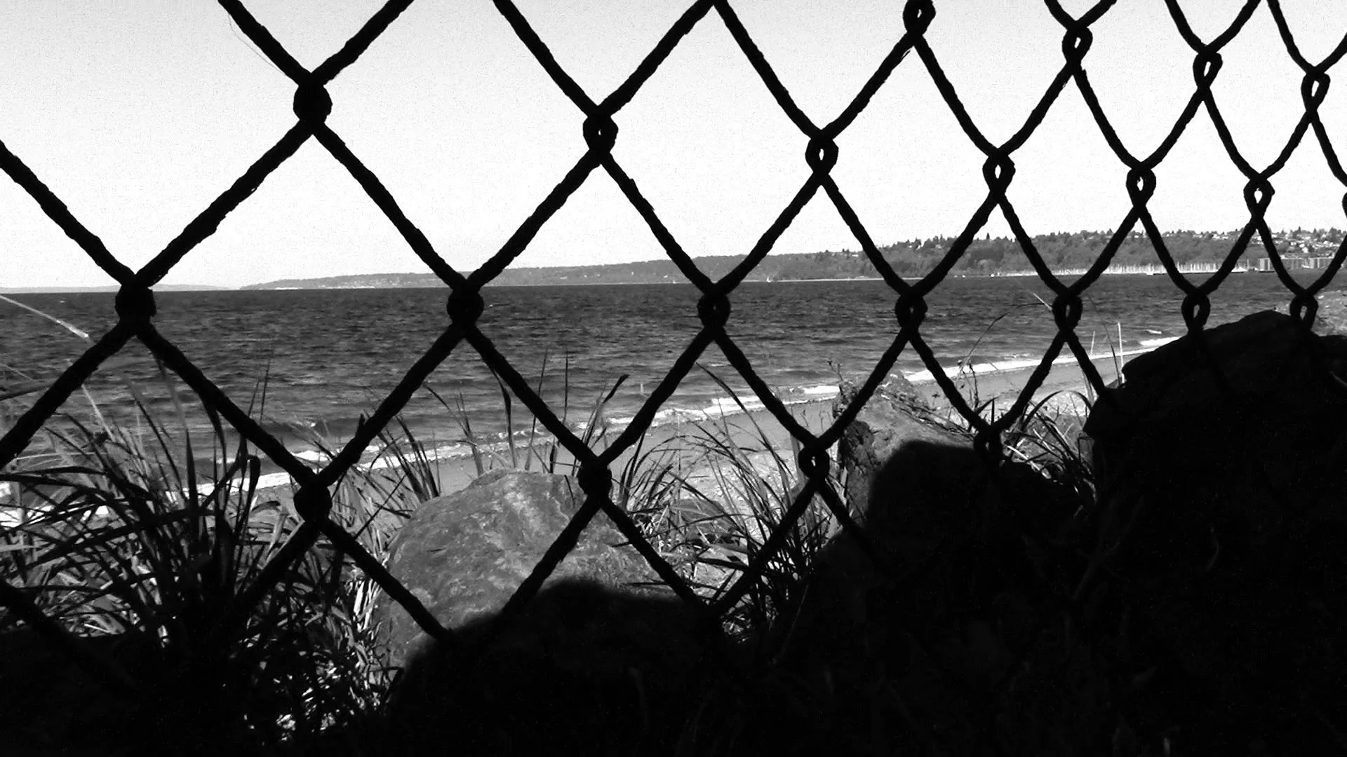 05 29 25 discovery park 10.jpg