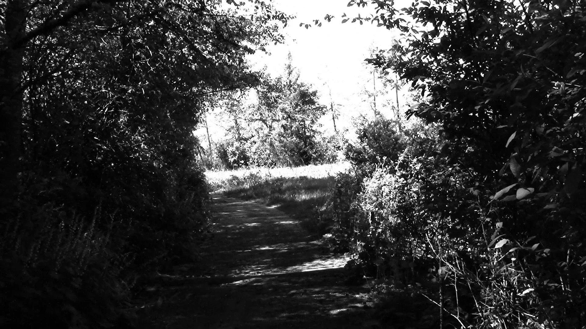05 29 25 discovery park 7.jpg