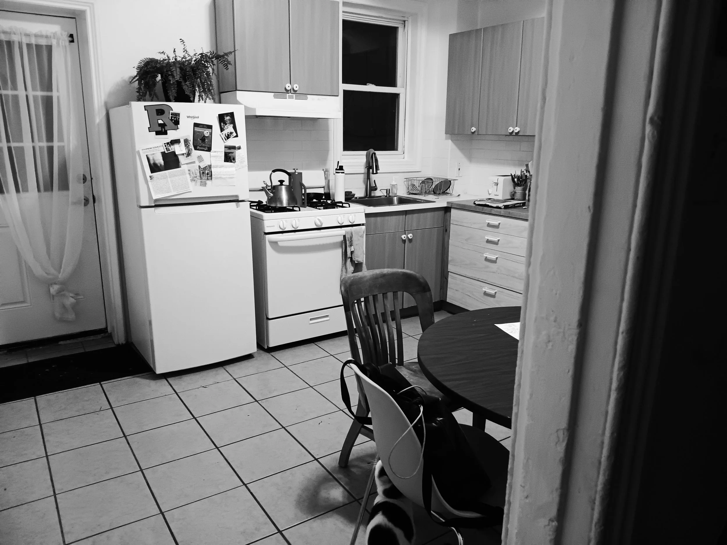 20251031_214755.jpg