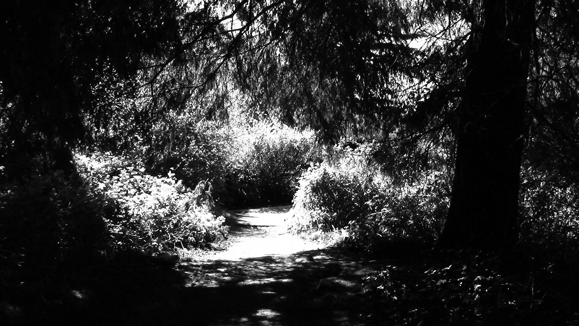 05 29 25 discovery park 1.jpg