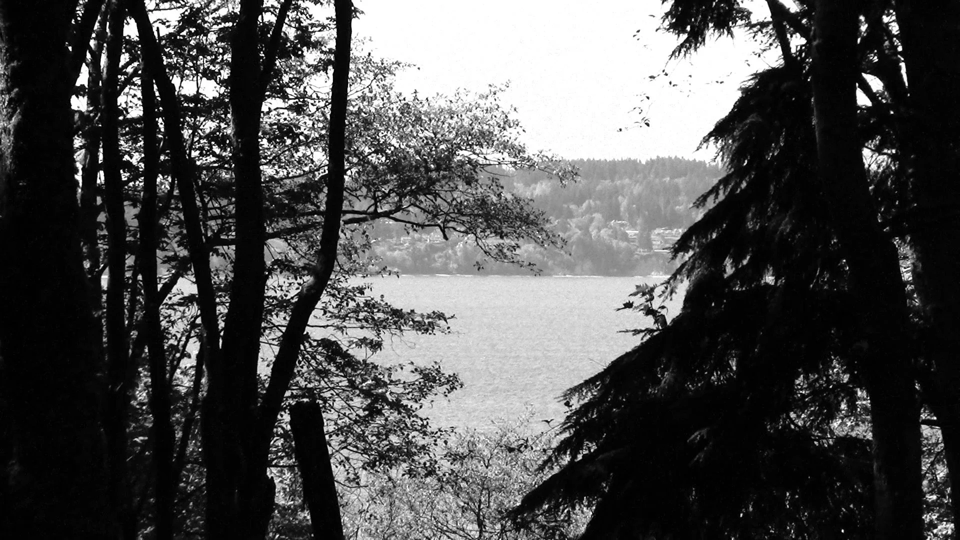 05 29 25 discovery park 4.jpg