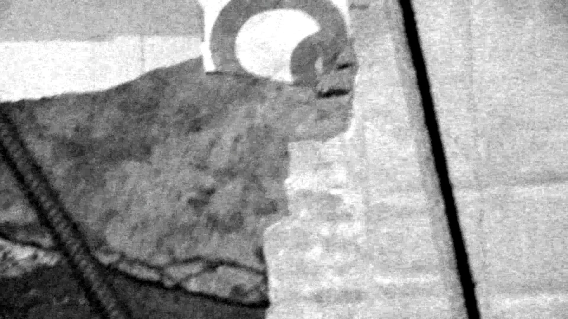 06 01 25 jack straw unpoetry 17.jpg