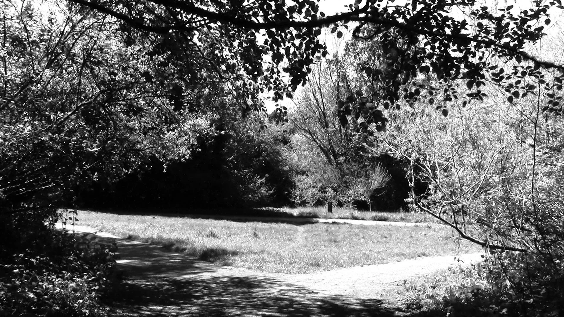 05 29 25 discovery park.jpg