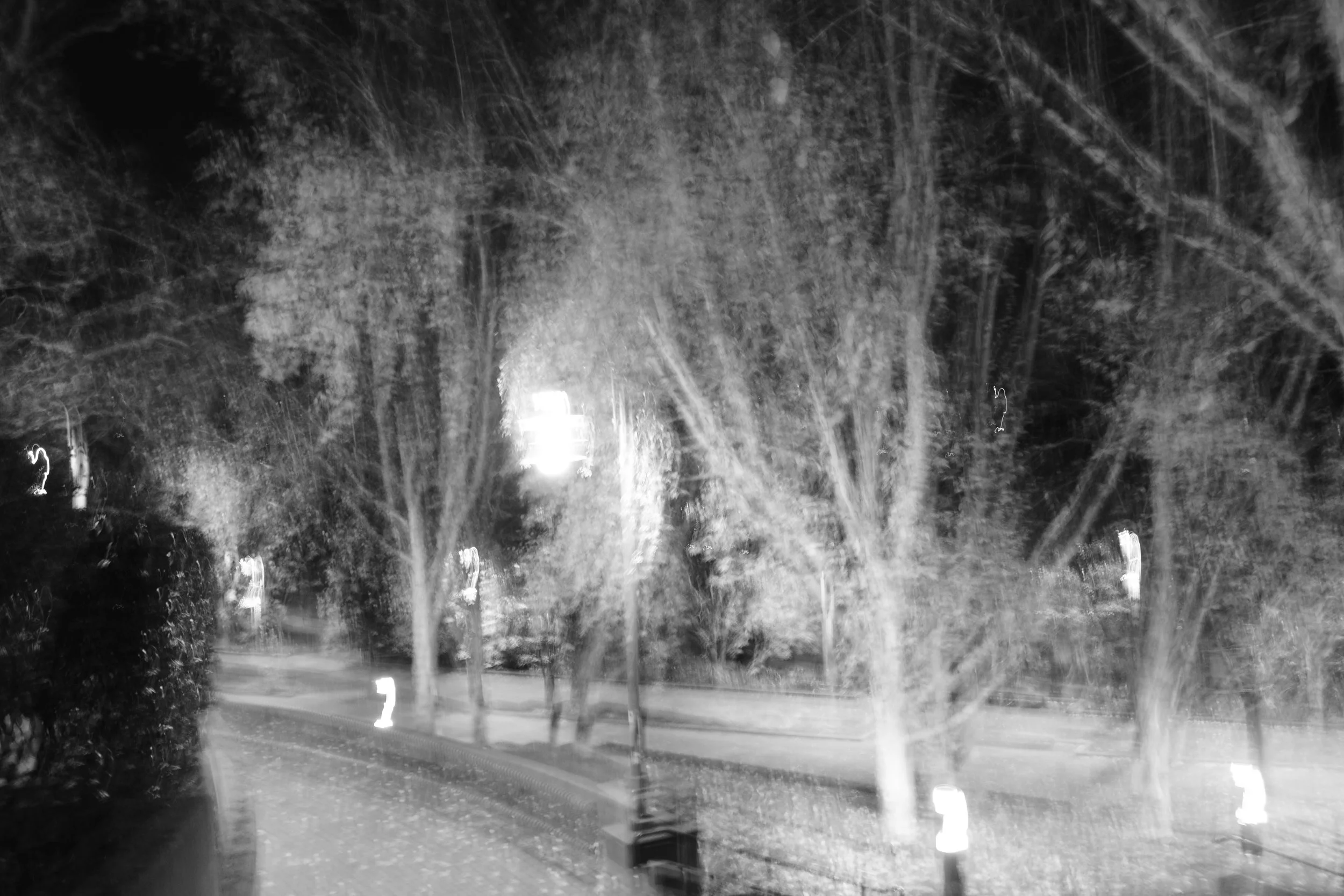 nov 06.JPG