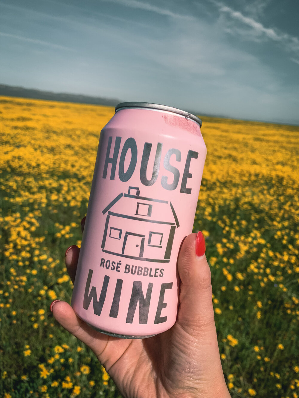 Superbloom & Canned Wine, April 2019_1.jpg