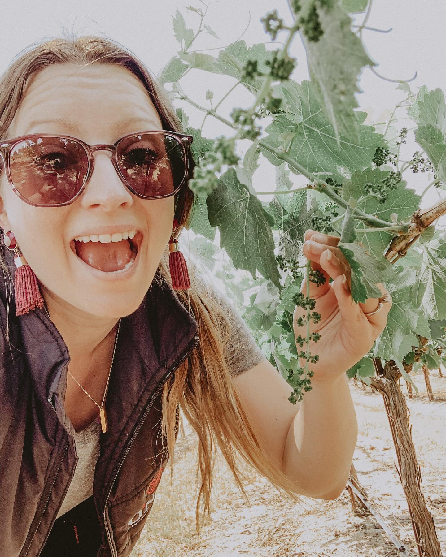 FUTURE ROS&Eacute; IN THE MAKING🍇
It&rsquo;s International Ros&eacute; Day, and I&rsquo;m hanging with some Syrah grapes that will be picked for ros&eacute; in a few months🥳! Speaking of grapes, let&rsquo;s talk about the next big stage in grapevin
