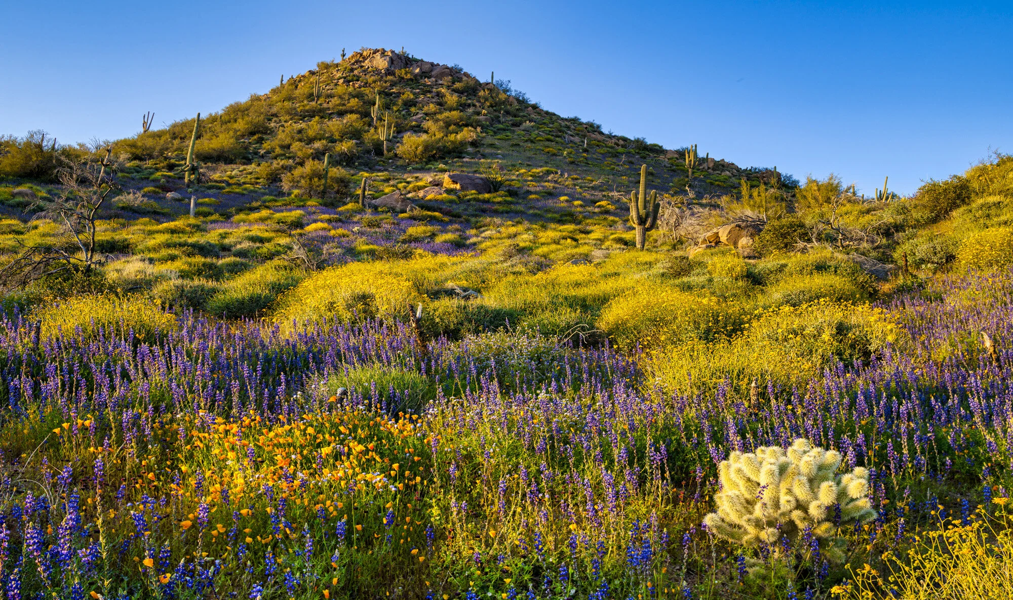 Landscape Photography Magazine