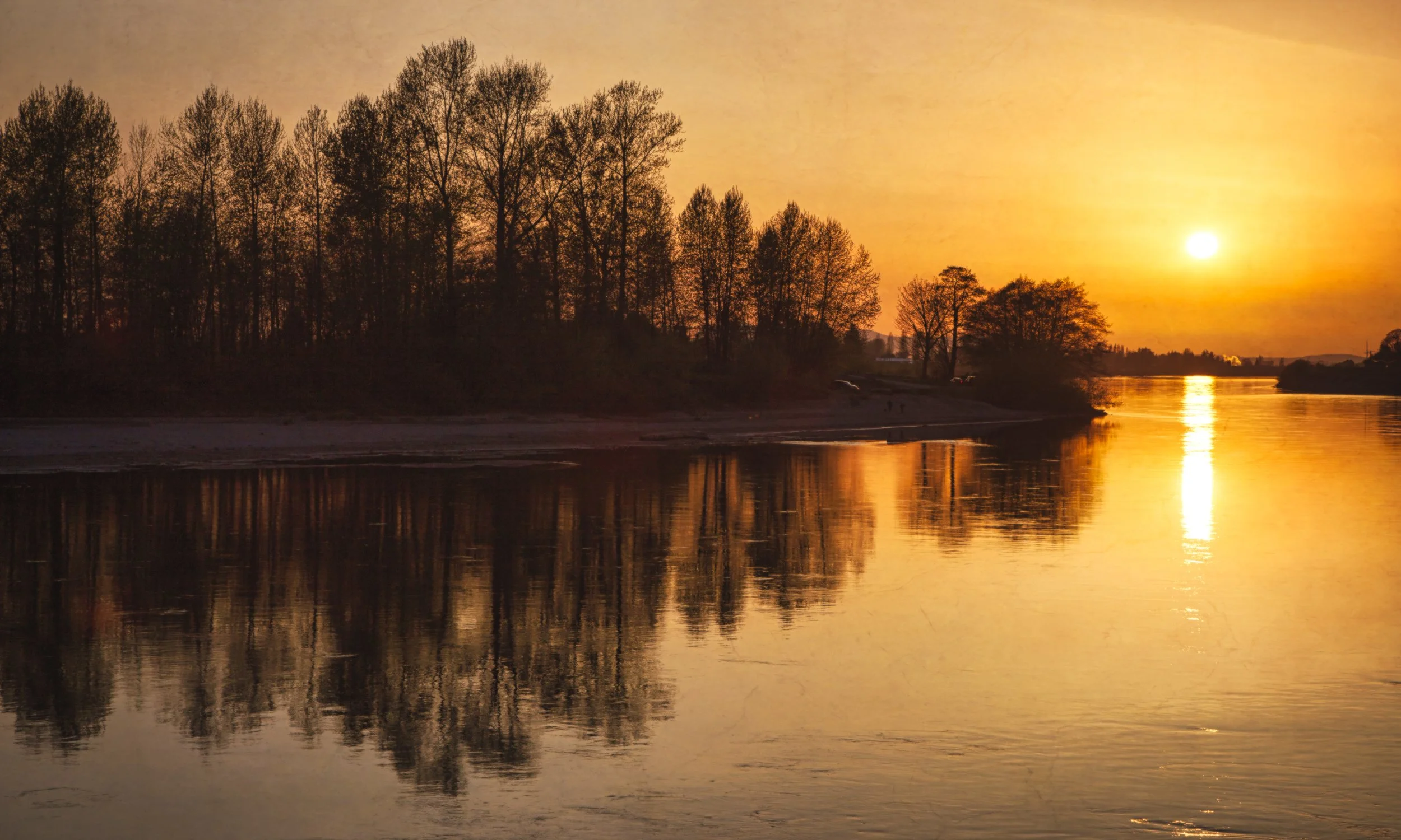 “February Sun”