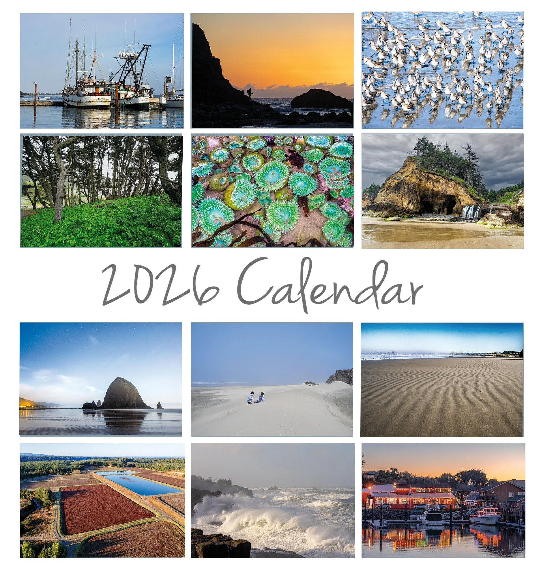 2026-13 Back Cover3.jpg