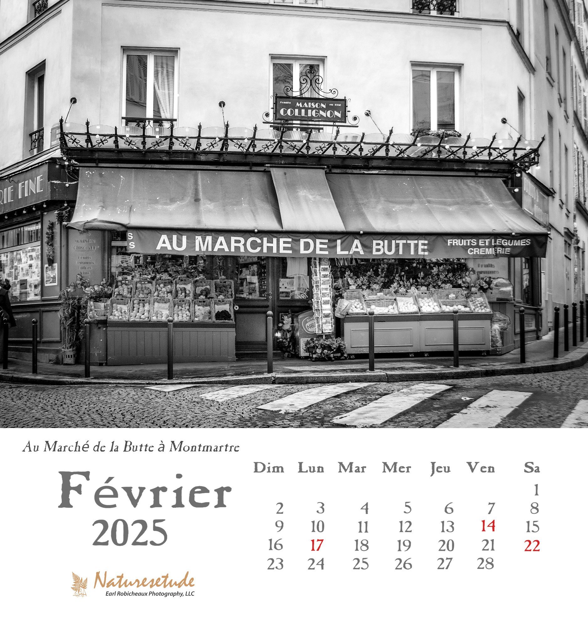 2025-02-February.jpg