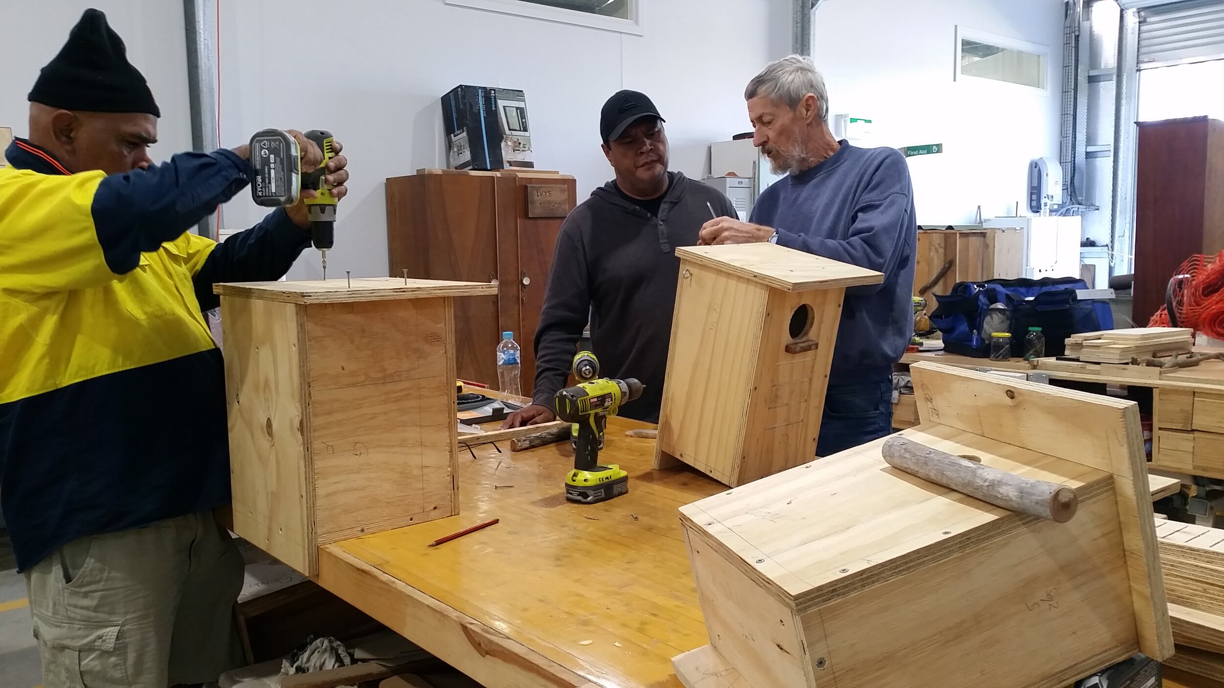 Building nest boxes.jpg