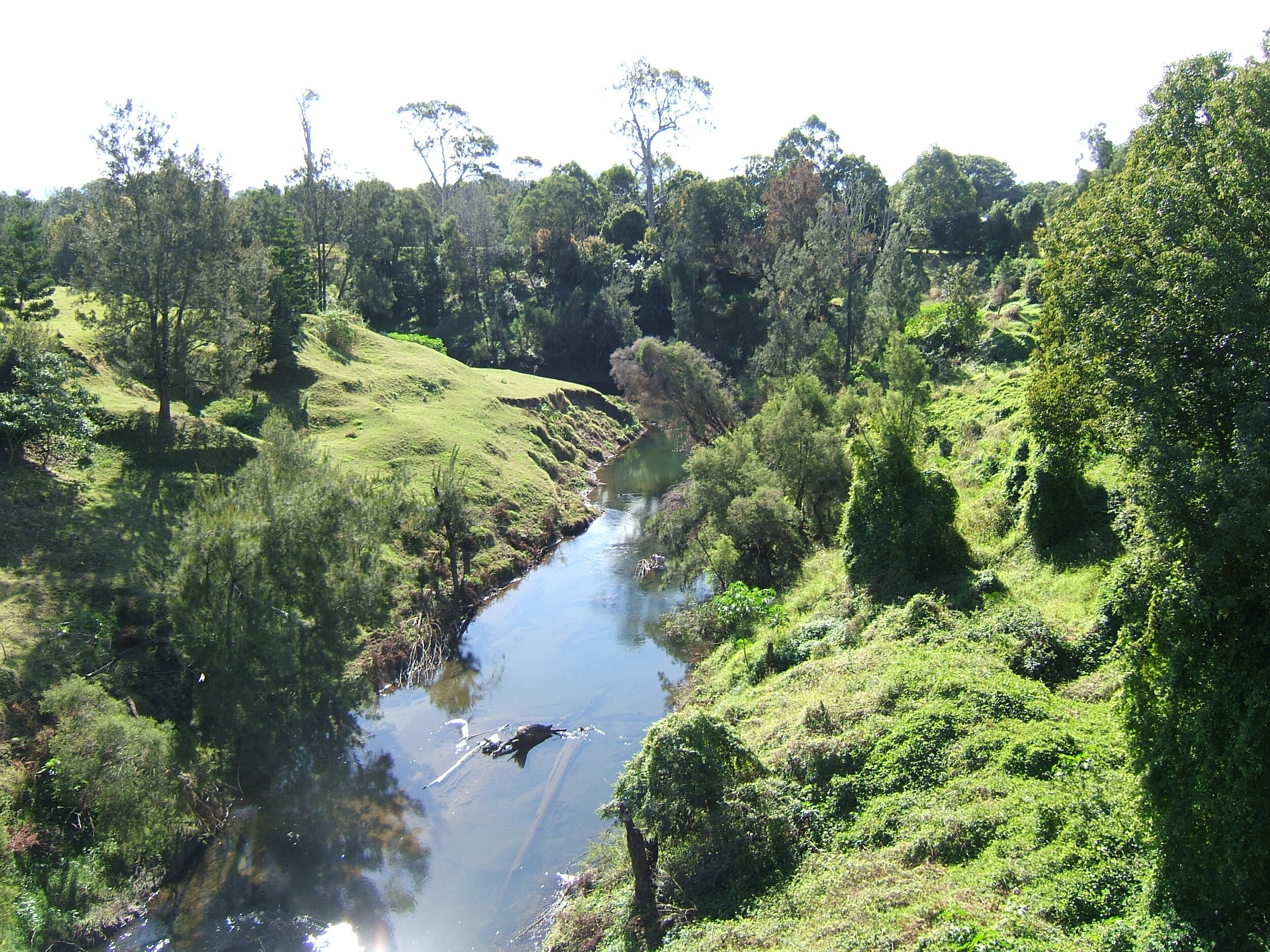 Richmond  River.JPG