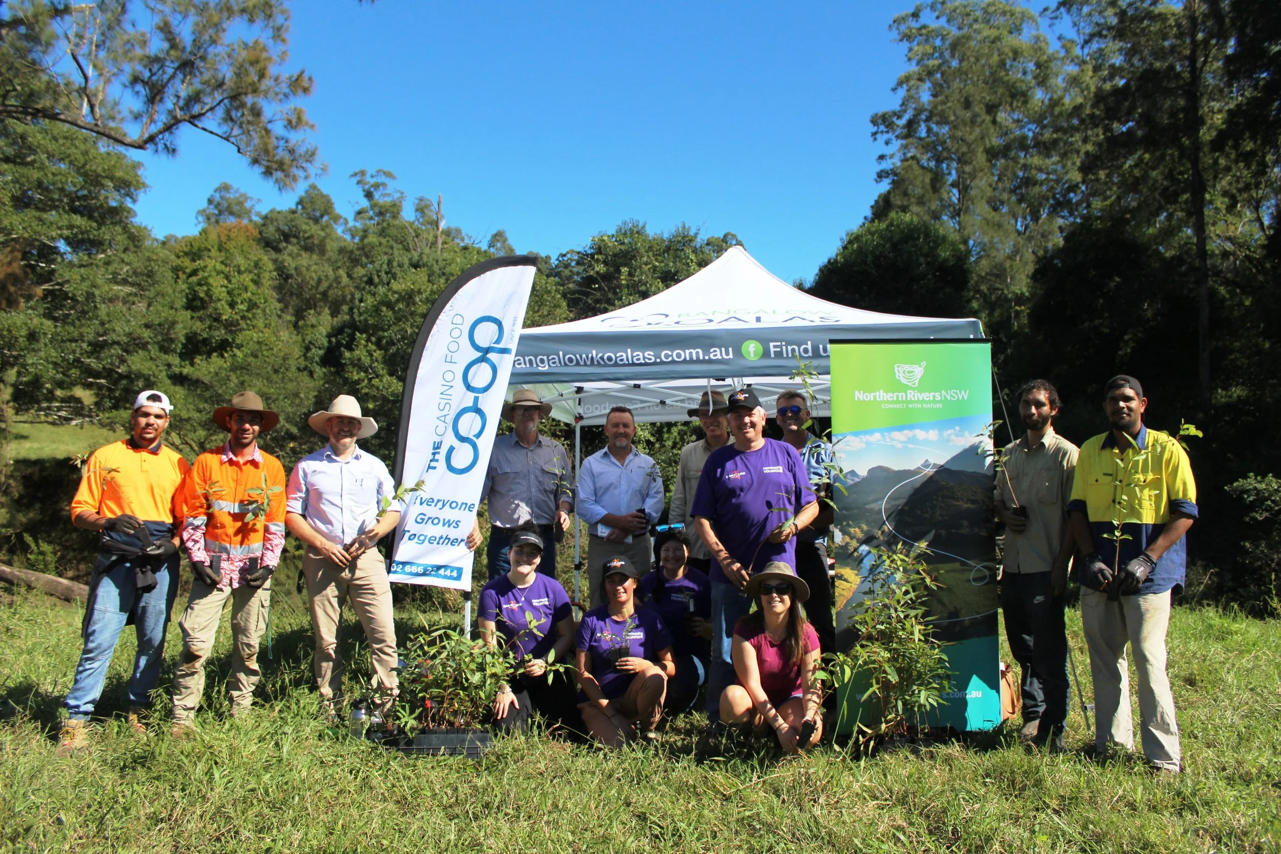 Community Tree Planting Collins Creek