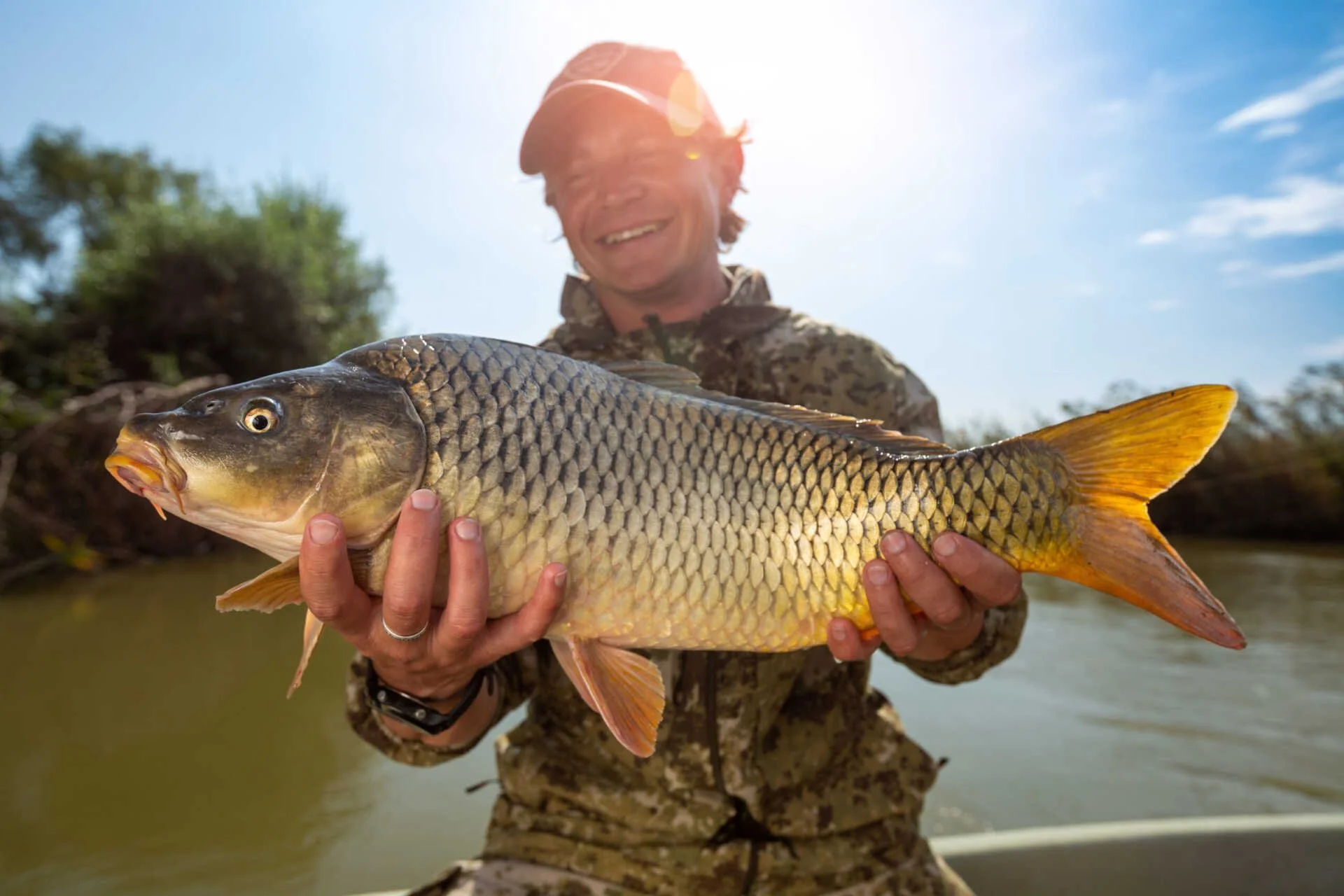 Taste the Tackle - Upper Richmond Carp Muster