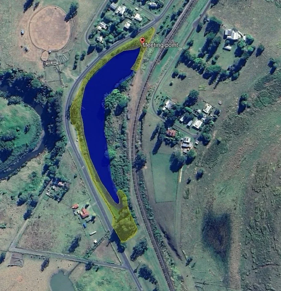 Working Bee Wiangaree Lagoon