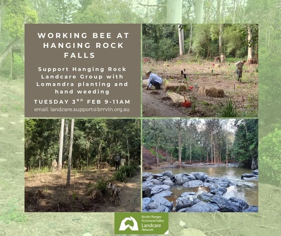 Hanging Rock Falls Working Bee