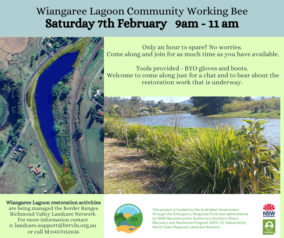 Working Bee Wiangaree Lagoon