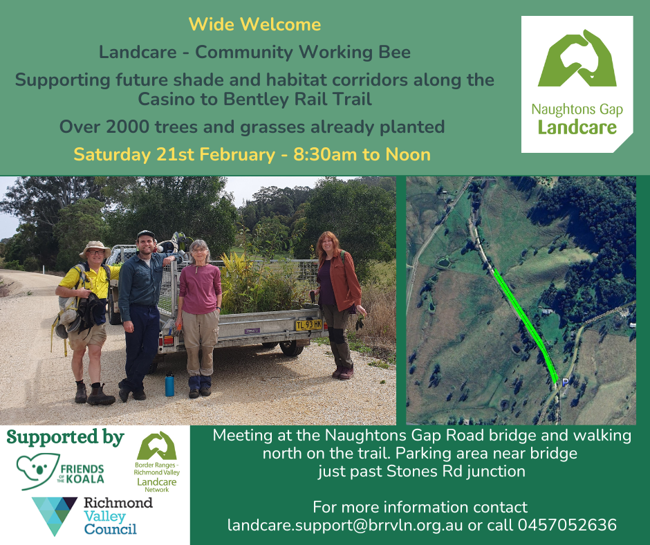 Naughtons Gap Rail Trail Working Bee