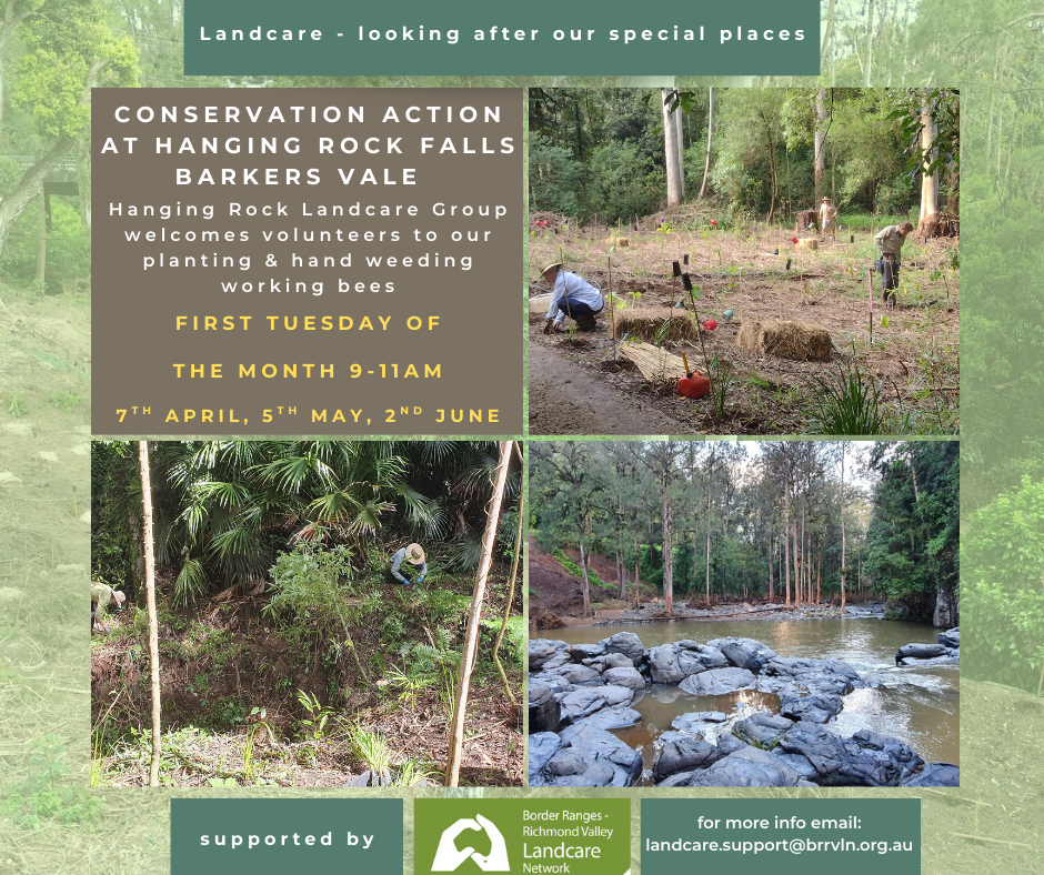 Hanging Rock Landcare Working Bee