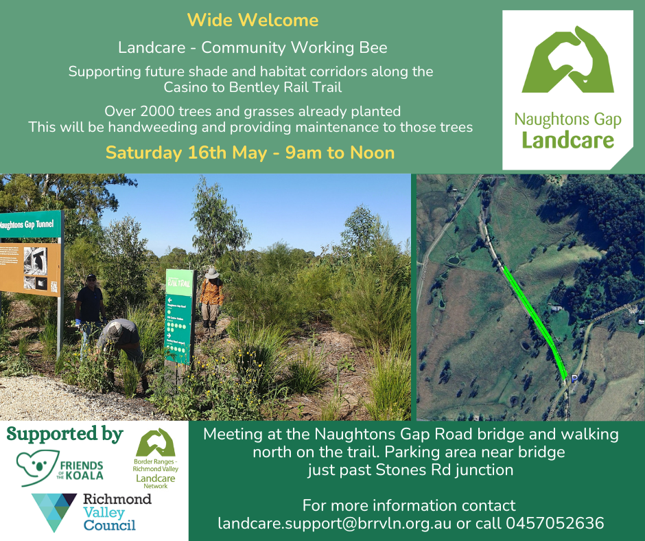 Naughtons Gap Rail Trail Working Bee