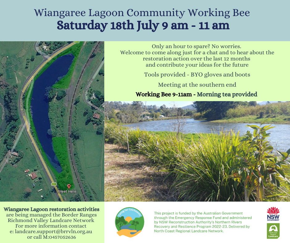 Wiangaree Lagoon Working Bee