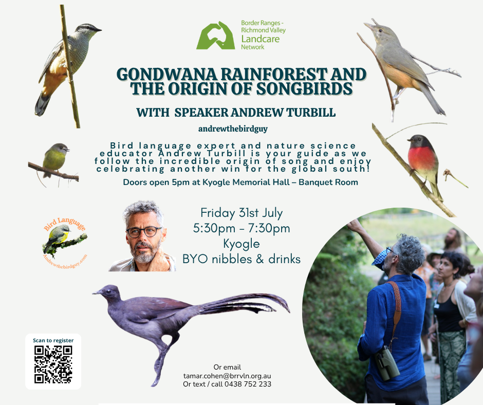 Gondwana Rainforest and the origin of songbirds