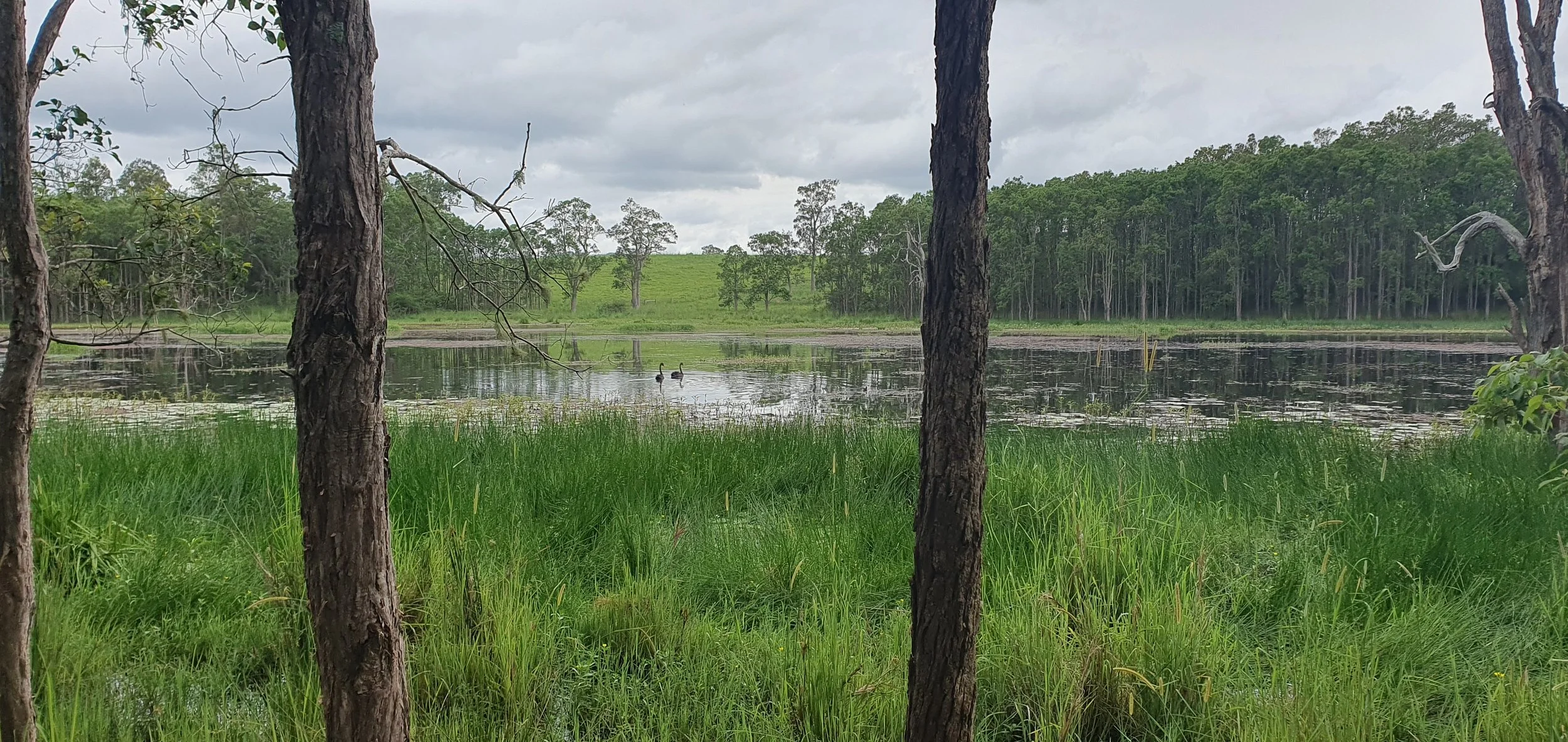 Seeking Expressions of Interest in Future Wetland Restoration Projects
