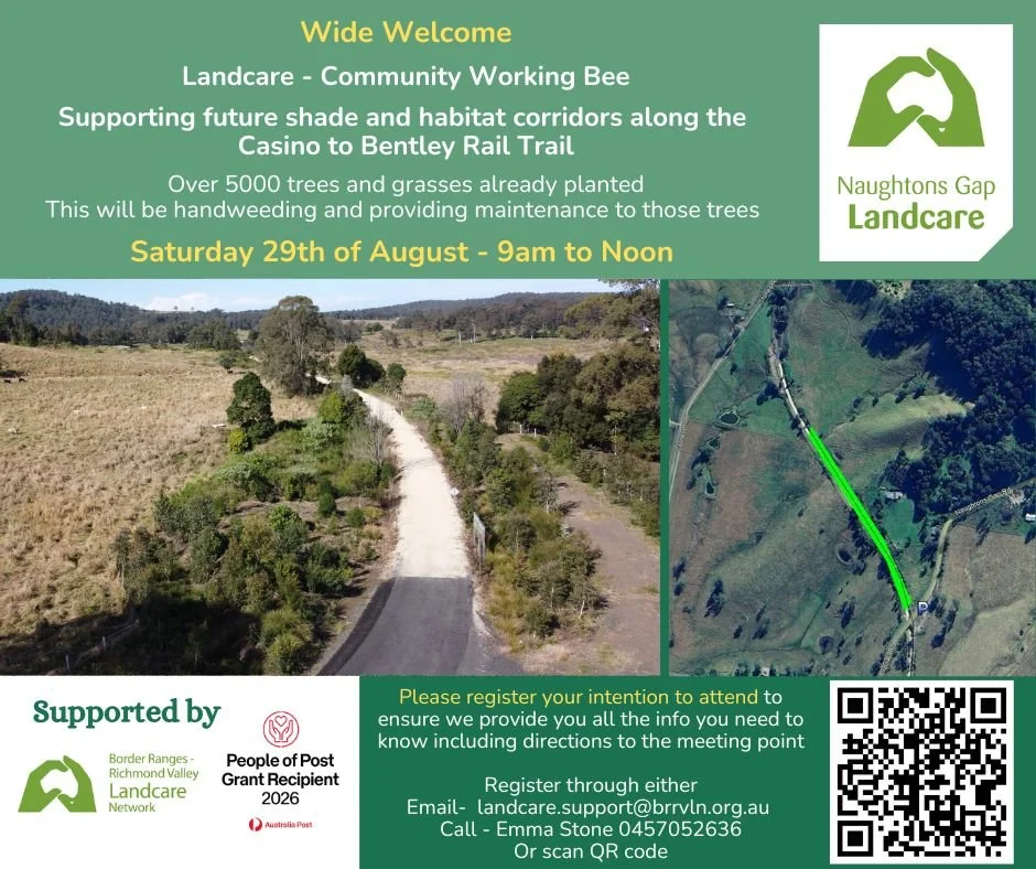 Naughtons Gap Rail Trail Community Working Bee