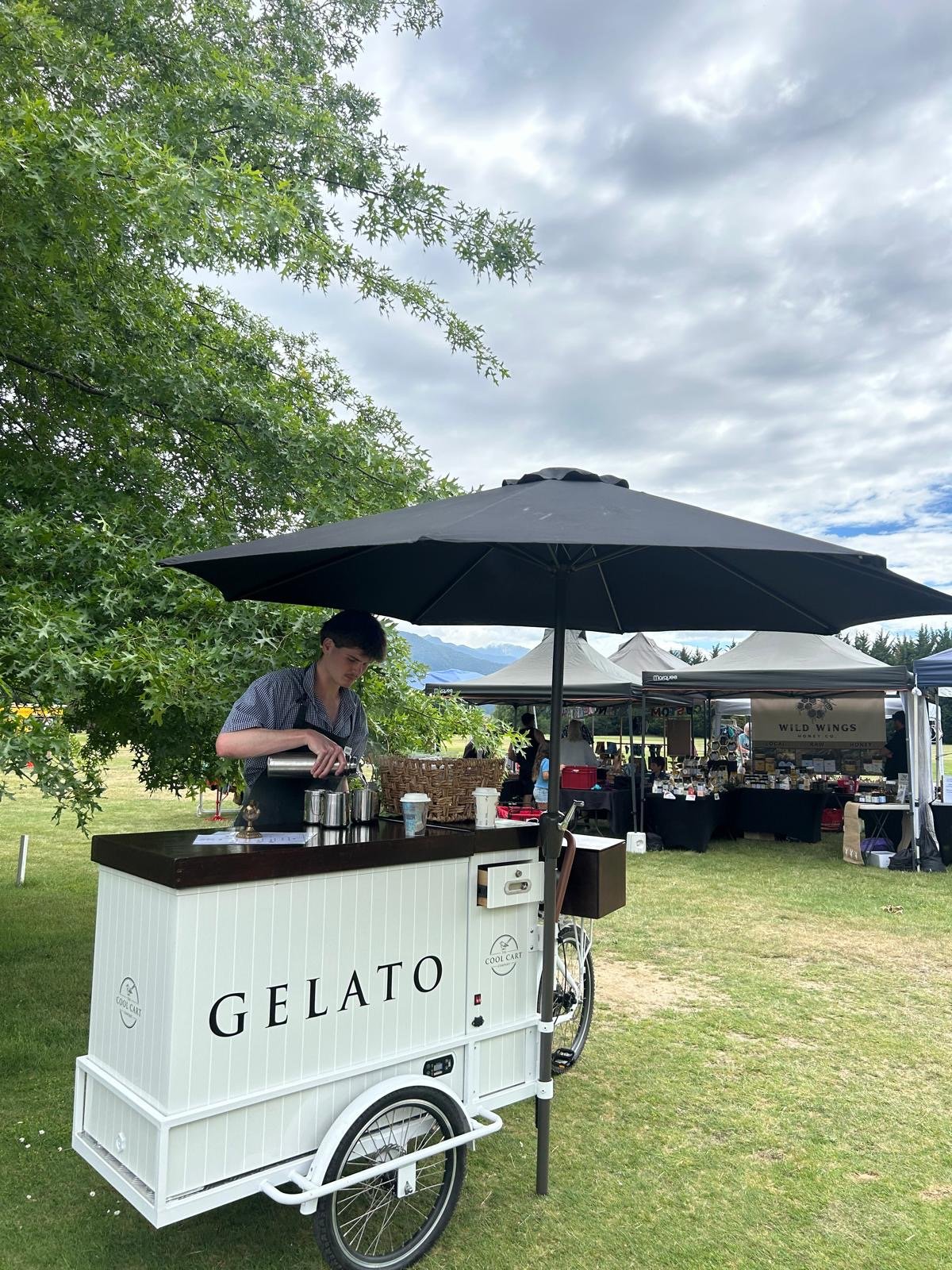 cool cart company.jpeg