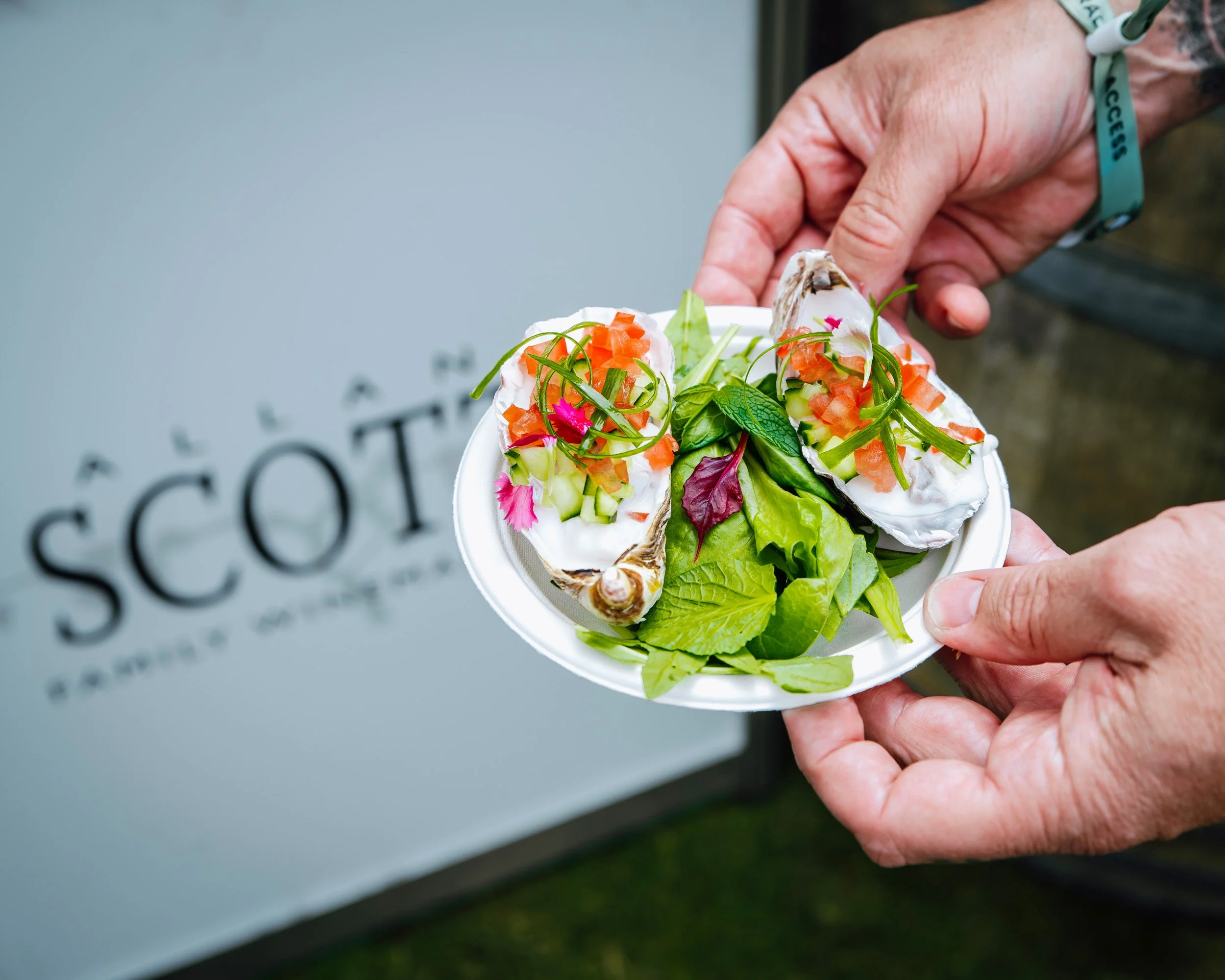 Wine Food Festival Feb26_RBPHOTO (434).jpg