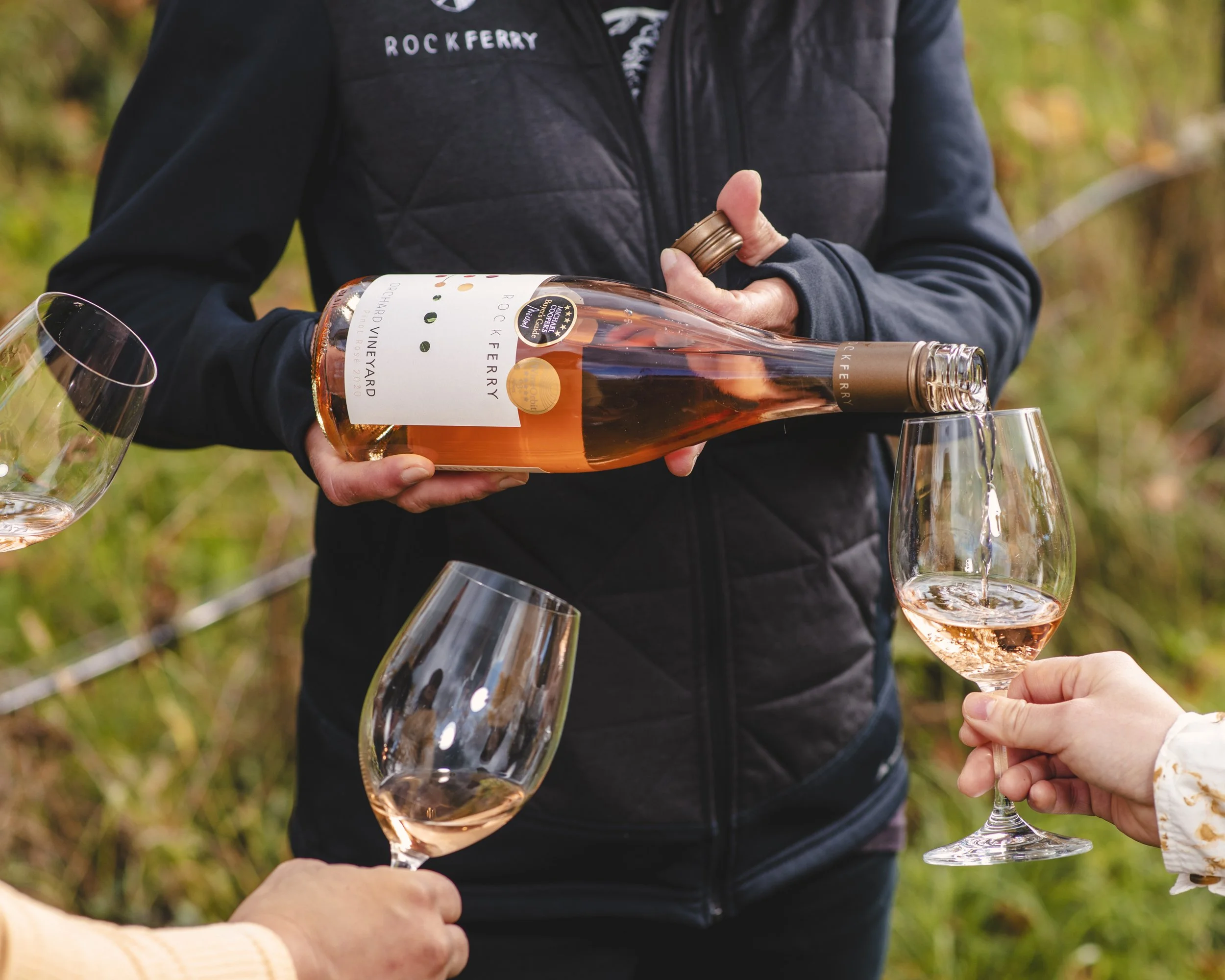 Explore the region — Marlborough Wine & Food Festival