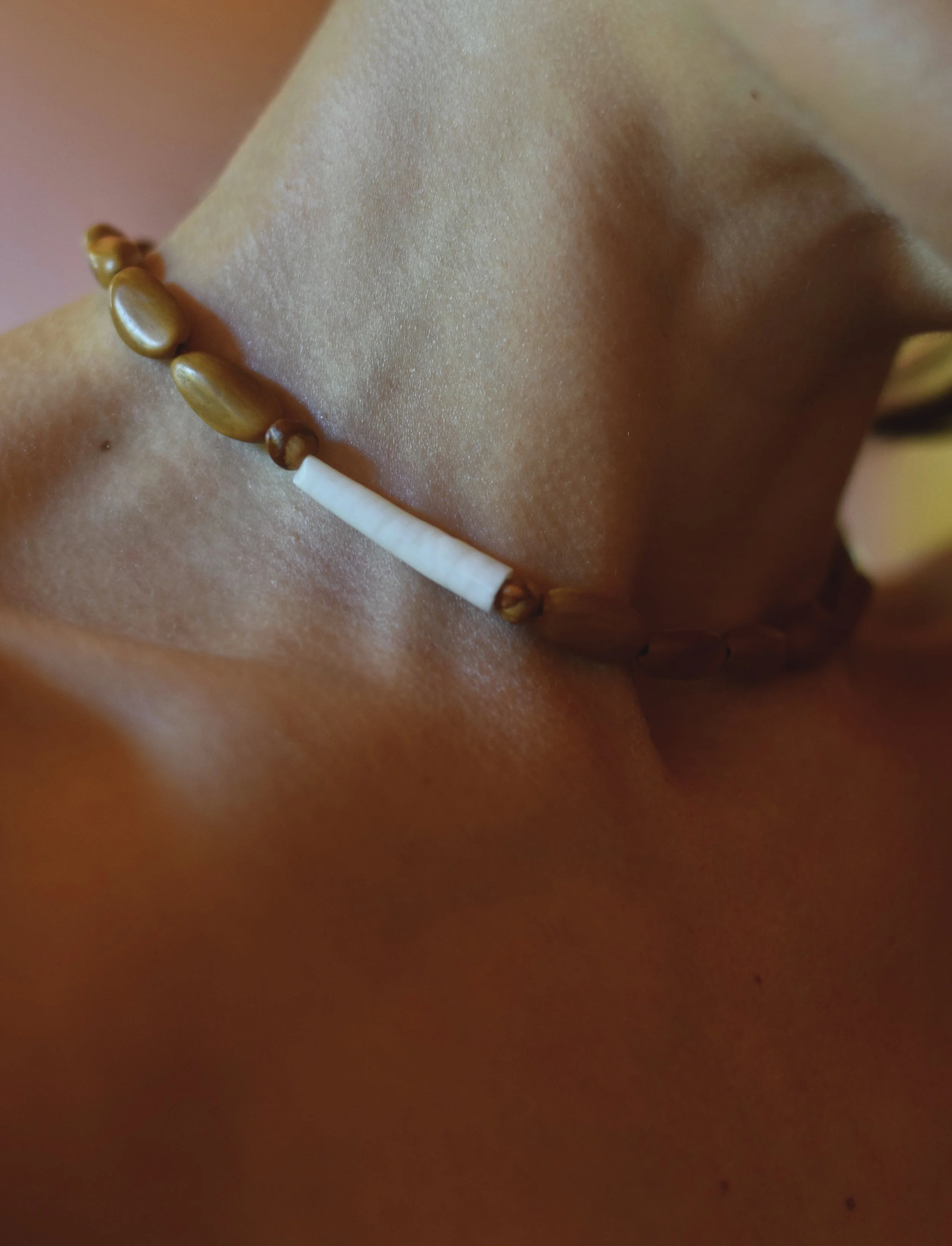 pine nut, cedar berry + dentalium choker