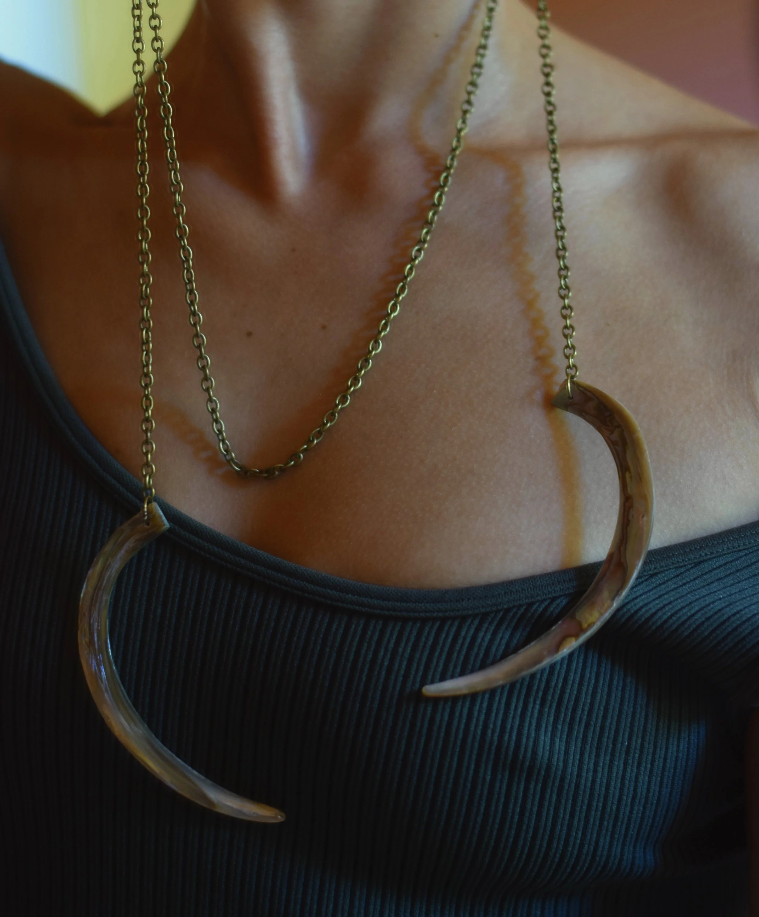 antlers iii