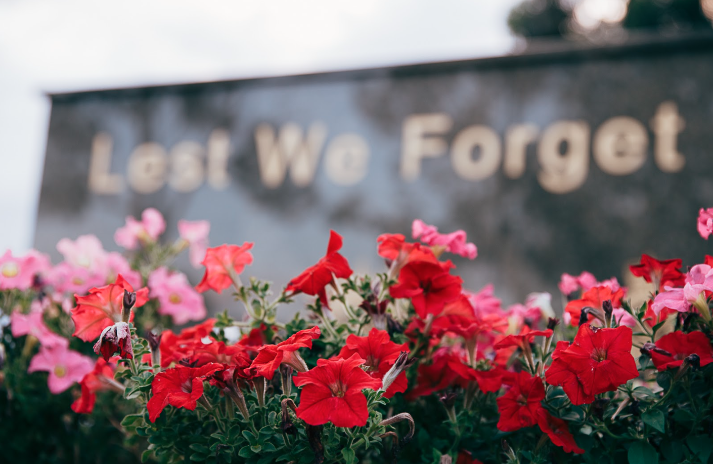 Screen Shot 2020-11-17 at 3.43.46 pm.png