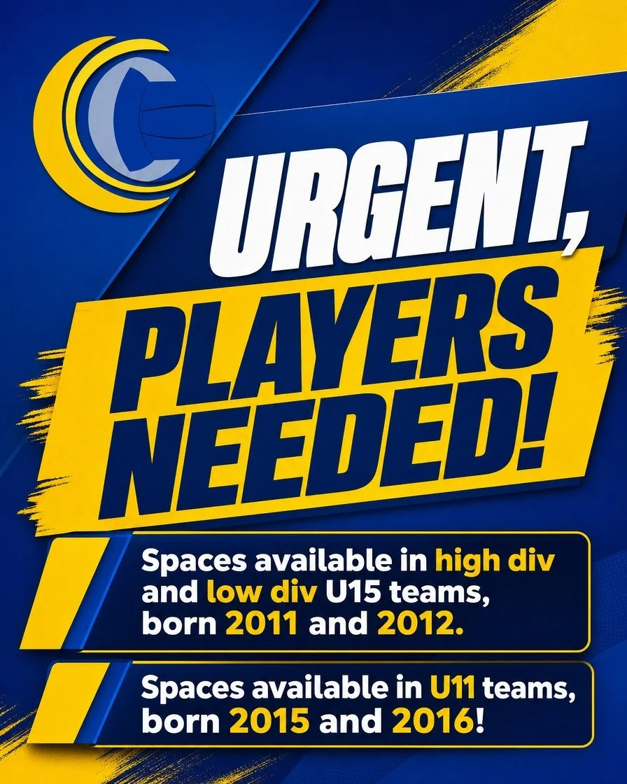 Don't delay! Teams are being submitted for the Spring Netball Season at Caulfield &amp; District Netball Association. We have spaces available, if you're interested email the club admin@carnegienetballclub.com.au