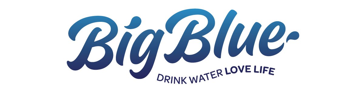 BigBlue_Logo_1200x300.jpg