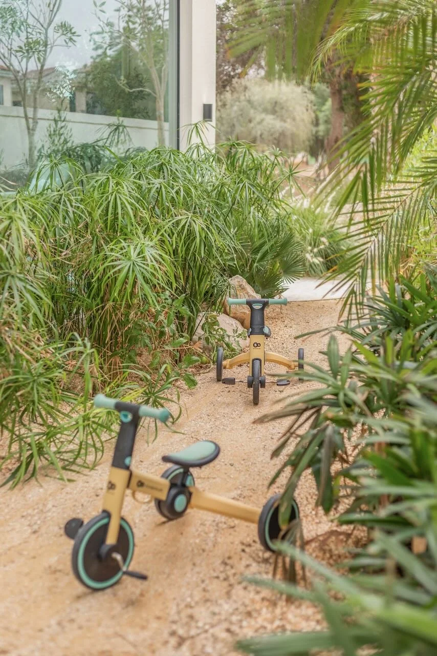 Dubai contemporary garden Sanctuary Falls WILDEN  - 17.jpeg