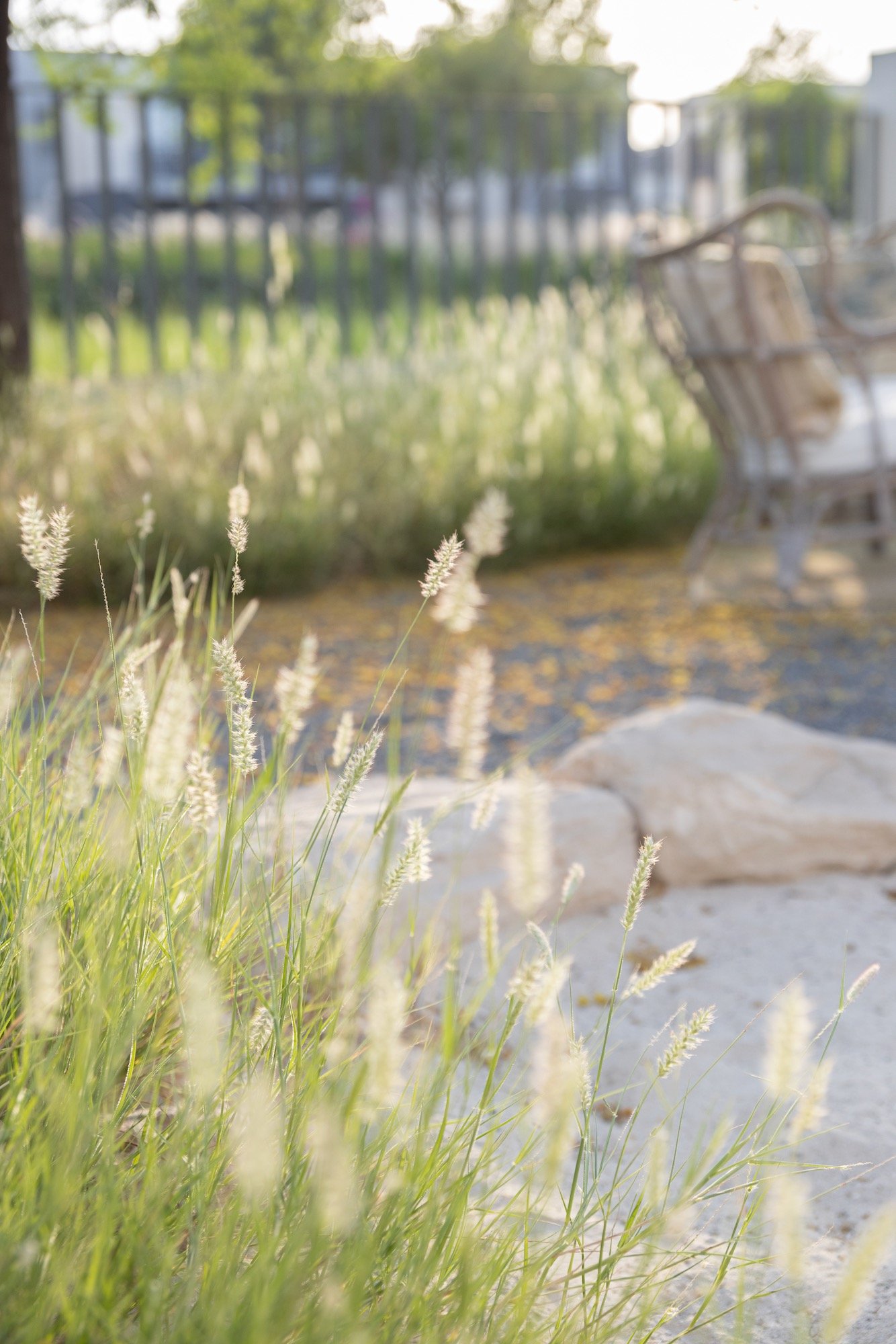 WILDEN Landscape Design Dubai Hills Garden Native Grass - 6.jpeg
