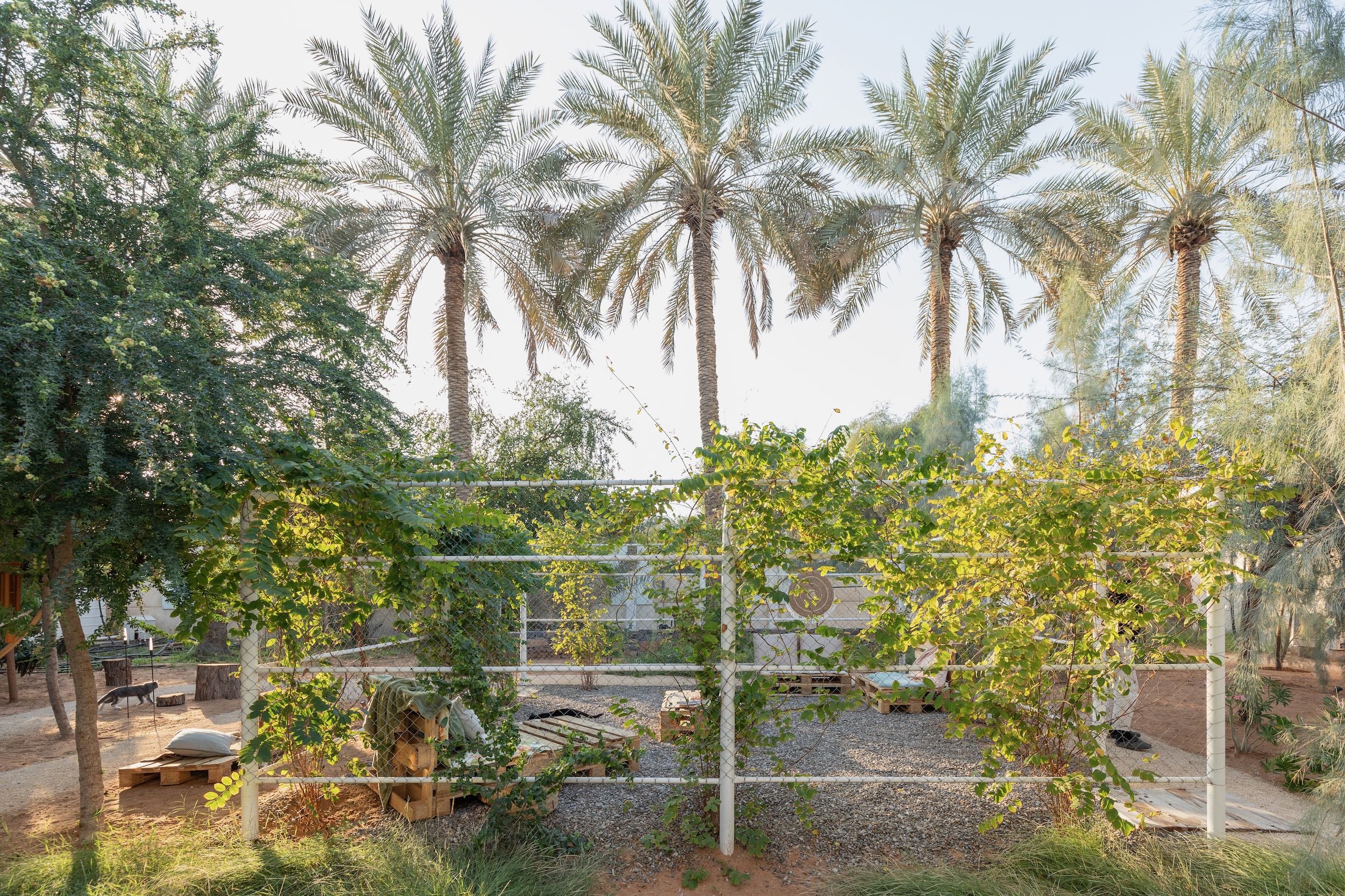 WILDEN secret garden Ras Al Khaimah UAE landscape design naturalistic repurposed wild - 17.jpeg