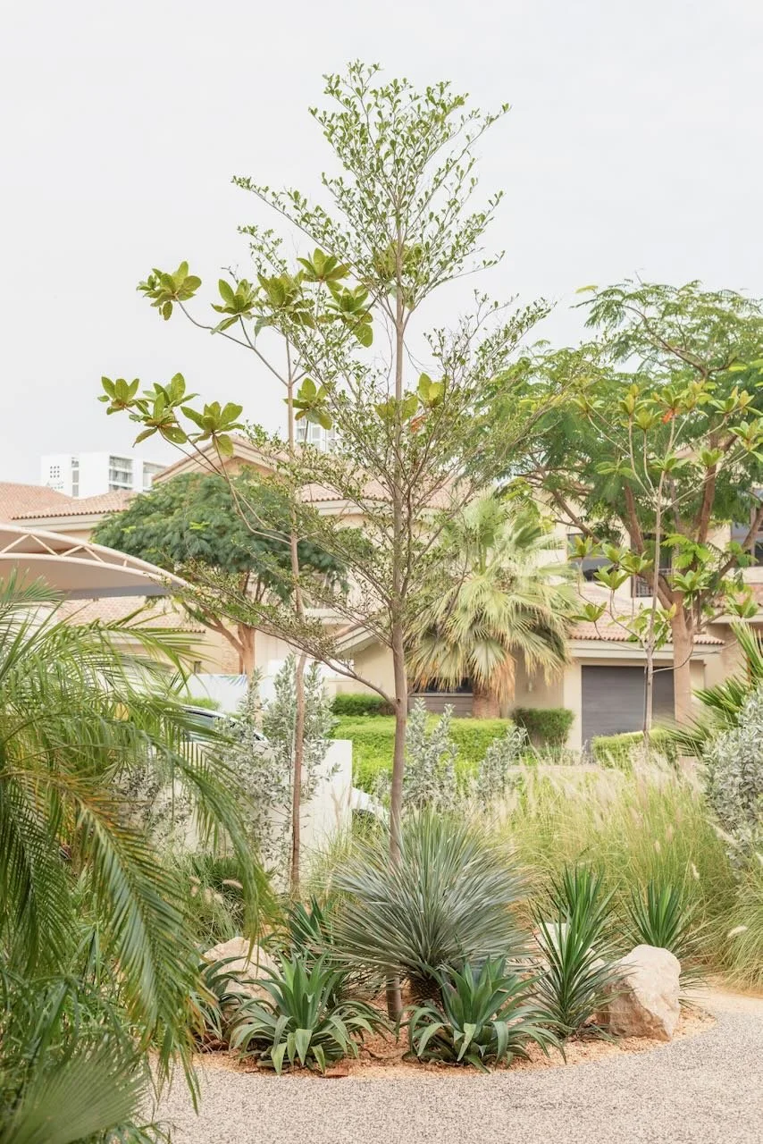 Dubai contemporary garden Sanctuary Falls WILDEN  - 6.jpeg