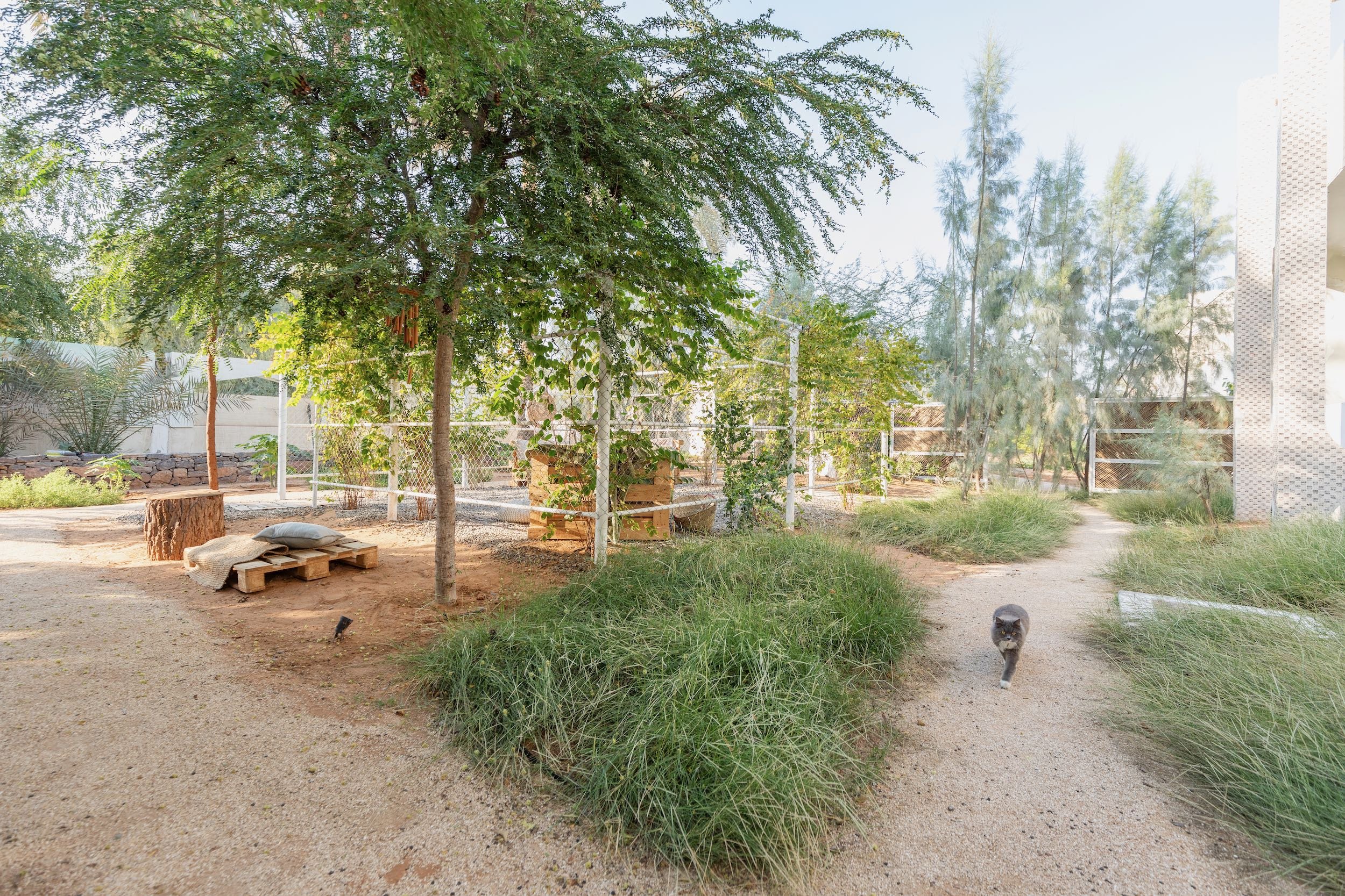 WILDEN secret garden Ras Al Khaimah UAE landscape design naturalistic repurposed wild - 24.jpeg